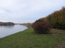 la Seine à Bonnières